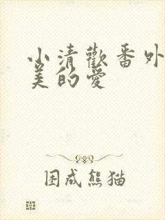 小清欢番外篇完美的爱