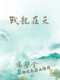 战龙在天