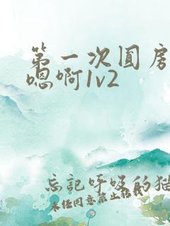 第一次圆房～h嗯啊1v2