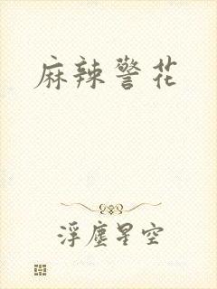 麻辣警花
