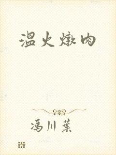 温火炖肉