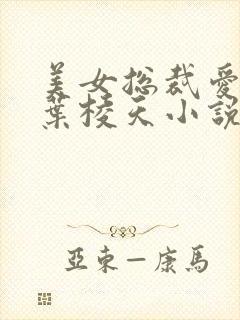 美女总裁爱上我叶棱天小说