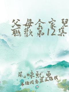 父母全家儿女大联欢第12集