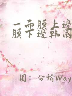 一面膜上边一面膜下边韩国