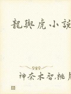 龙与虎小说