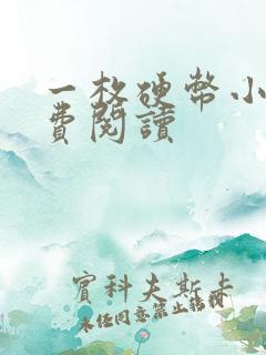 一枚硬币小说免费阅读