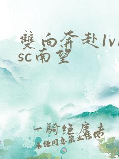 双向奔赴1v1sc南望