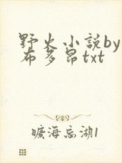 野火小说by夏布多昂txt