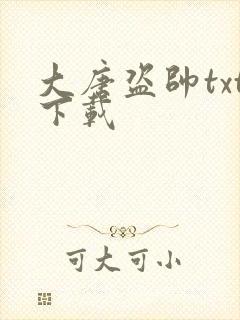 大唐盗帅txt下载