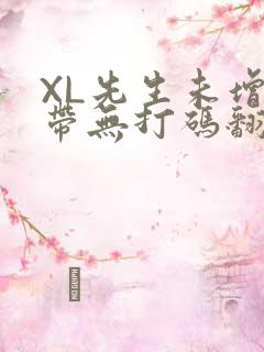 XL先生未增删带无打码翻译
