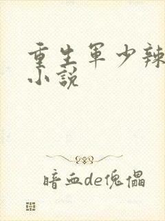 重生军少辣娇妻小说