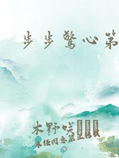 步步惊心第二部