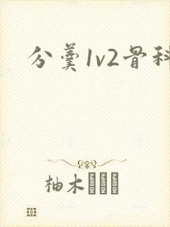 分羹1v2骨科