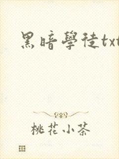 黑暗学徒txt