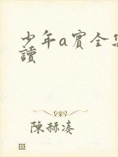 少年a宾全集阅读