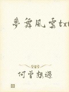梦舞风云txt