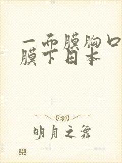 一面膜胸口一面膜下日本