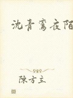 沈青鸾夜陌凌