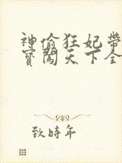 神偷狂妃带着宝宝闯天下全文免费阅读