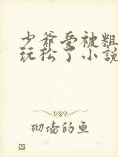 少爷受被粗汉H玩松了小说