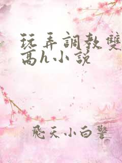 玩弄调教双胞胎高h小说