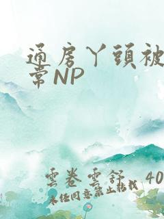 通房丫头被肉日常NP