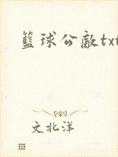 篮球公敌txt