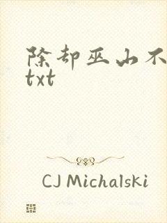 除却巫山不是云txt