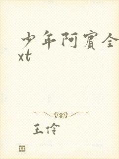 少年阿宾全集txt