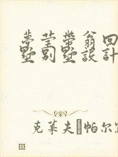 梦莹带翁回乡别墅别墅设计