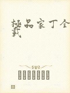 极品家丁全集下载