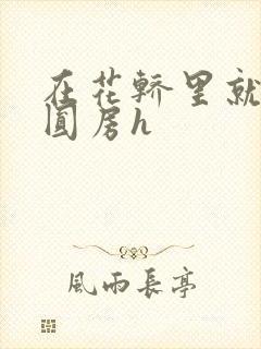 在花轿里就开始圆房h