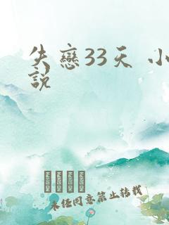 失恋33天 小说