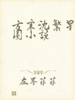 方寒沈繁星娱乐圈小说