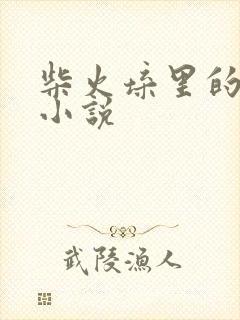 柴火垛里的疯狂小说