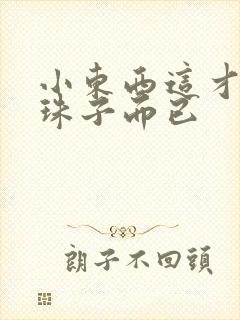 小东西这才一颗珠子而已