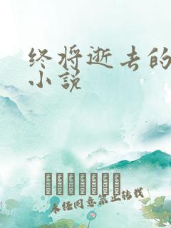 终将逝去的青春小说