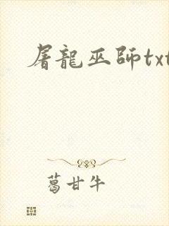 屠龙巫师txt