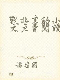 战北寒的小说全文免费阅读无弹窗