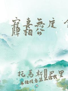 宠妻无度  金牌相公