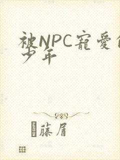 被NPC宠爱的少年