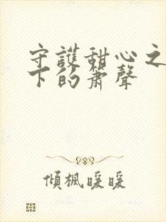 守护甜心之月光下的箫声