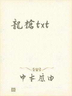 龙枪txt
