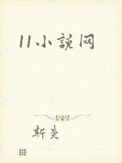 11小说网
