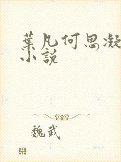 叶凡何思凝七月小说