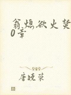 翁熄欲火焚身50章