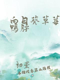 向日葵草莓丝瓜鸭脖