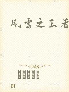 风云之王者人生