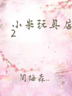 小米玩具店老板2