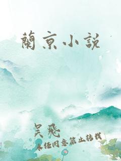 兰京小说